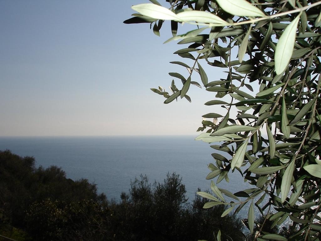 Villa Imperia อิมเปรีอา ภายนอก รูปภาพ